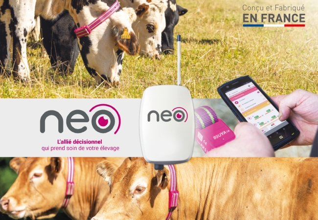 NEO