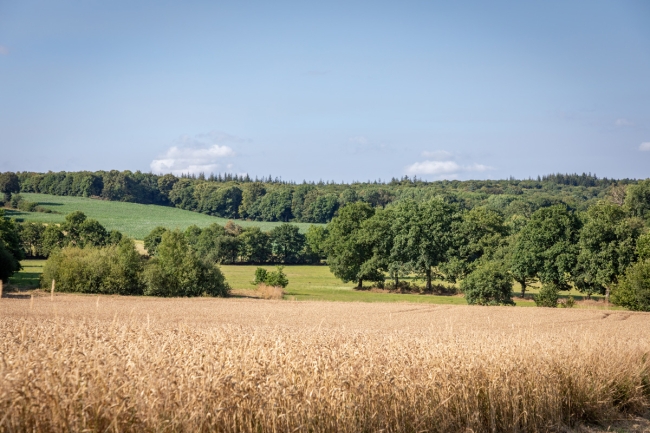 Audit et conseil mesures agro-environnementales et climatiques