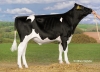 DOSE TAUREAU SOYLENT - NDE001407106134 - 66A5182
