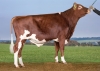 DOSE SEXEE FEM 90 TAUREAU VR HEINZ - XDK000000038375 - 44A0853