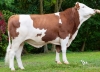 DOSE TAUREAU OSIRIS - NFR0118032146 - 3595285