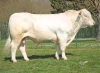 DOSE TAUREAU RISOTTO - NFR0332720855 - 3897303