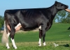 DOSE SEXEE FEM 90 TAUREAU PARELOUP - XFR1220003526 - 6695947
