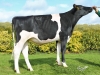 DOSE TAUREAU ORTEGA - NFR1452582954 - 6694005