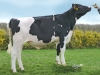 DOSE TAUREAU OASIS P - NFR1452673174 - 6693022