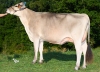 DOSE SEXE 2M 90 F VERONE - XFR1545004418 - 21A4961