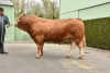 DOSE TAUREAU HUESSA - NFR1936112593 - 3485943