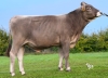 DOSE SEXE 2M 90 F VASCO - XFR2134274040 - 21A4940