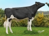 DOSE TAUREAU NESQUICK - NFR2229184430 - 6691906