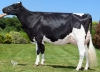 DOSE TAUREAU SPECULOS - NFR2232985935 - 6697632