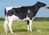 DOSE TAUREAU NAIC - NFR2234684230 - 6692876