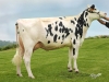 DOSE TAUREAU NARBOR - NFR2234789437 - 6691909