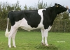 DOSE TAUREAU DRANCE ISY - NFR2238143044 - 6676084