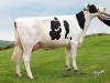 DOSE TAUREAU PAVEL RED - NFR2238144229 - 6695776