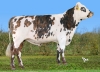 DOSE SEXEE FEM 95 2M VALKYRI P - MFR2254873107 - 56A4664