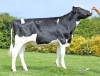 DOSE TAUREAU PLESLIN P - NFR2258173979 - 6695394