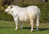 DOSE TAUREAU OBISPO PP - NFR2319103201 - 3895913