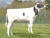 DOSE TAUREAU PERIGORD P - NFR2405865894 - 6696163