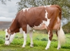 DOSE SEXE 2M 90 F VARSOL - XFR2531974281 - 46A4531