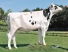 DOSE TAUREAU ORSANS - NFR2538586894 - 6694731