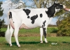 DOSE TAUREAU OTHERSIDE - NFR2911356661 - 6694542