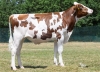 DOSE TAUREAU VAMOS  - NFR2922889824 - 19A3540