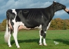 DOSE TAUREAU ORLY - NFR2929163216 - 6694021
