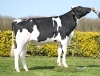 DOSE TAUREAU SANTIAGO - NFR2931504555 - 6697635