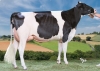 DOSE TAUREAU JEWALD - NFR2933592318 - 6688319