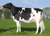 DOSE TAUREAU JEWALD - NFR2933592318 - 6688319