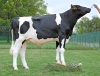 DOSE TAUREAU PABLO - NFR2939812975 - 6695079