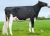 DOSE TAUREAU PABLO - NFR2939812975 - 6695079