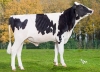 DOSE TAUREAU VIVERO PP - NFR3511873337 - 66A4453