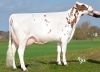 DOSE TAUREAU ROAZHON - NFR3528523385 - 1996800