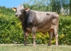 DOSE SEXEE FEM 90 TAUREAU RASTAROKET - XFR3556494016 - 2198345
