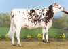 DOSE TAUREAU PROCELIAND - NFR3567582643 - 5696149
