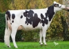 DOSE TAUREAU EHMAN ISY - NFR3704257074 - 6678068