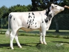 DOSE TAUREAU ORIGNY - NFR3719541916 - 6695083