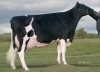 DOSE TAUREAU JEFFREY - NFR4401573446 - 6687551