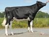 DOSE TAUREAU GRONDIN - NFR4405371812 - 6681189