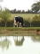 DOSE TAUREAU GRONDIN - NFR4405371812 - 6681189