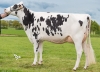 DOSE TAUREAU NEBRASKA - NFR4421682429 - 6692068