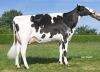 DOSE TAUREAU NAMA P - NFR4421682433 - 6692271