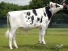 DOSE TAUREAU HORA - NFR4432722672 - 6683281
