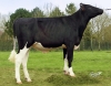 DOSE TAUREAU LAPSUS - NFR4432722859 - 6688377