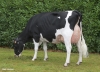 DOSE TAUREAU MELPHY - NFR4432722944 - 6690972