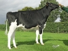 DOSE TAUREAU JARMON - NFR4457925018 - 6687707