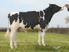 DOSE TAUREAU JAPIRO - NFR4472336172 - 6688326