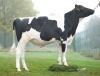 DOSE TAUREAU RUIZ P - NFR4472336549 - 6696556