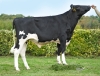 DOSE TAUREAU RAUL P - NFR4472336588 - 6697191